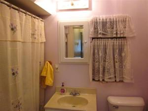 600 E Cannonsville, Stanton, MI 48888 photo 11
