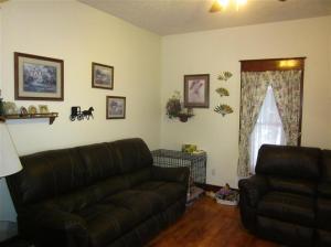600 E Cannonsville, Stanton, MI 48888 photo 4
