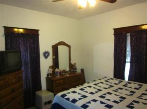 600 E Cannonsville, Stanton, MI 48888 photo 10