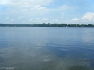 579 W Willard St, White Cloud, MI 49349 photo 23