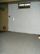 579 W Willard St, White Cloud, MI 49349 photo 17