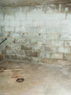 579 W Willard St, White Cloud, MI 49349 photo 18