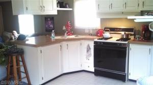 1595 Guernsey, Lyons, MI 48851 photo 6