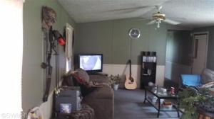 1595 Guernsey, Lyons, MI 48851 photo 4