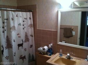 3418 Springbrook Ln, Lansing, MI 48917 photo 9