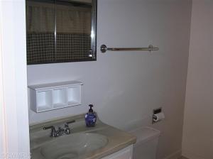 452 Mill, Saranac, MI 48881 photo 4