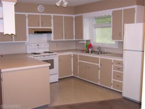 452 Mill, Saranac, MI 48881 photo 3