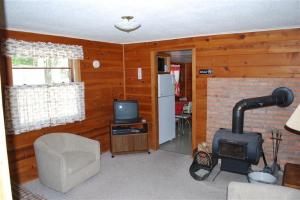 3899 Pine Dr, Bitely, MI 49309 photo 5