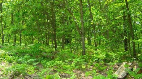 3420 E Washington St, White Cloud, MI 49349 photo 2