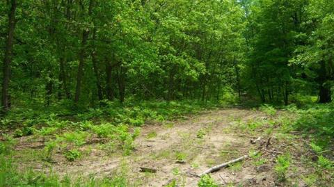 3420 E Washington St, White Cloud, MI 49349 photo 6