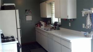 237 Jane Ellen, Lowell, MI 49331 photo 9