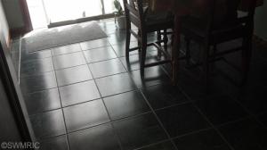 237 Jane Ellen, Lowell, MI 49331 photo 10