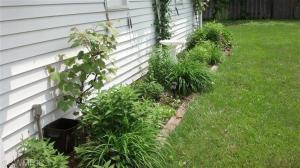 237 Jane Ellen, Lowell, MI 49331 photo 5