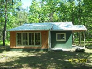 1173 Coolidge St, Bitely, MI 49309 photo 1