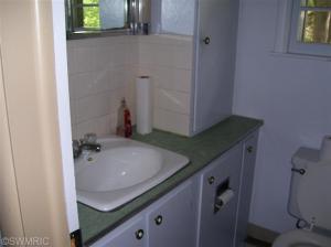 201 E Washington St, Augusta, MI 49012 photo 11
