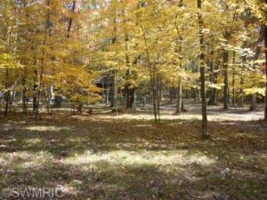 13868 Ruby Ln, Big Rapids, MI 49307 photo 23