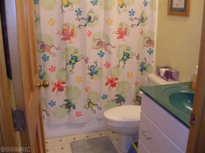 64466 Norton, Constantine, MI 49042 photo 11