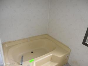 4303 First St, Mcbride, MI 48852 photo 17