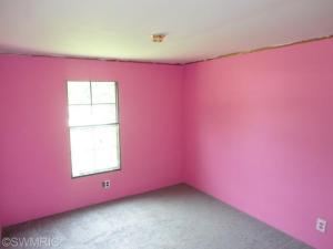 4303 First St, Mcbride, MI 48852 photo 13
