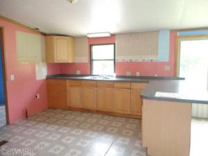 4303 First St, Mcbride, MI 48852 photo 10