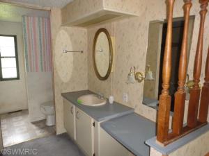 4303 First St, Mcbride, MI 48852 photo 16