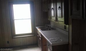 133 Cherry St, Freeport, MI 49325 photo 10