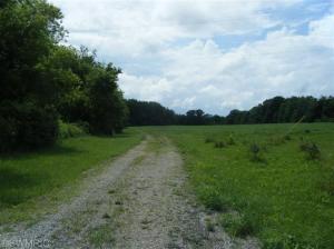 11620 S Tripp Rd, Waldron, MI 49288 photo 15