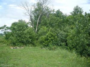 11620 S Tripp Rd, Waldron, MI 49288 photo 6
