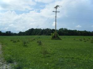 11620 S Tripp Rd, Waldron, MI 49288 photo 16