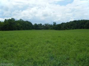 11620 S Tripp Rd, Waldron, MI 49288 photo 19