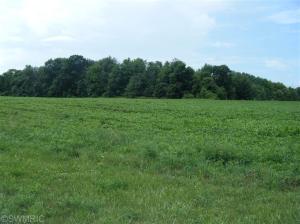 11620 S Tripp Rd, Waldron, MI 49288 photo 2