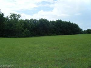 11620 S Tripp Rd, Waldron, MI 49288 photo 20