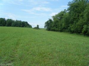 11620 S Tripp Rd, Waldron, MI 49288 photo 14