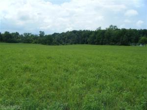 11620 S Tripp Rd, Waldron, MI 49288 photo 18