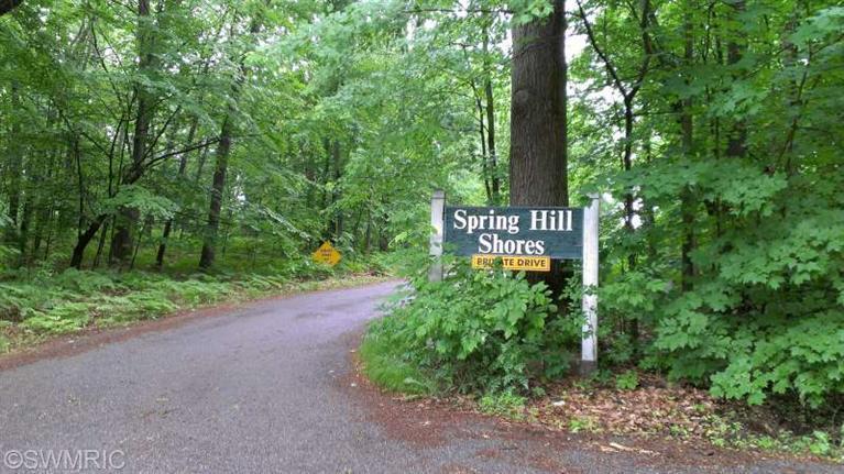 8875 E Springhill Rd, Hesperia, MI 49421 photo 16