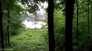 8875 E Springhill Rd, Hesperia, MI 49421 photo 14