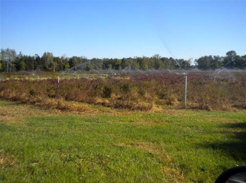 70431 34th Ave, Covert, MI 49043 photo 6