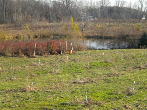 70431 34th Ave, Covert, MI 49043 photo 8