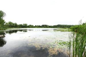 8060 Lessiter Rd NE, Belding, MI 48809 photo 22
