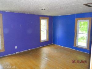 116 E Day St, Stanton, MI 48888 photo 14