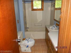 116 E Day St, Stanton, MI 48888 photo 12