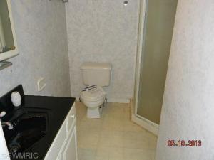 116 E Day St, Stanton, MI 48888 photo 15
