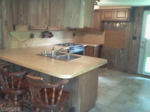 5631 E Riverside, Lyons, MI 48851 photo 19