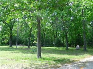 5022 E 36th St, Newaygo, MI 49337 photo 6