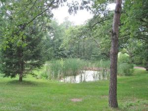 7580 Conservation St NE, Ada, MI 49301 photo 22