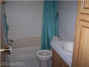907 Half Moon Dr, Stanton, MI 48888 photo 6