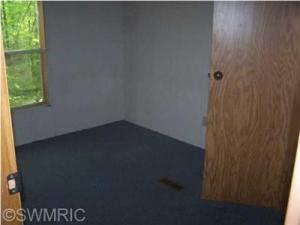 907 Half Moon Dr, Stanton, MI 48888 photo 5