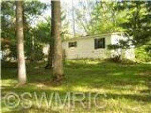 907 Half Moon Dr, Stanton, MI 48888 photo 7
