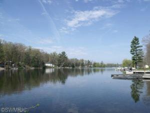 907 Half Moon Dr, Stanton, MI 48888 photo 10