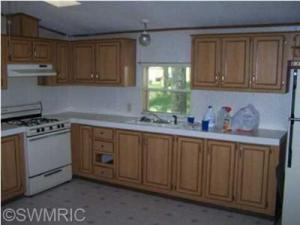 907 Half Moon Dr, Stanton, MI 48888 photo 3